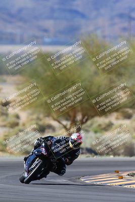 media/Apr-14-2024-SoCal Trackdays (Sun) [[70f97d3d4f]]/1-Turn 5 Tree of Life (920am)/